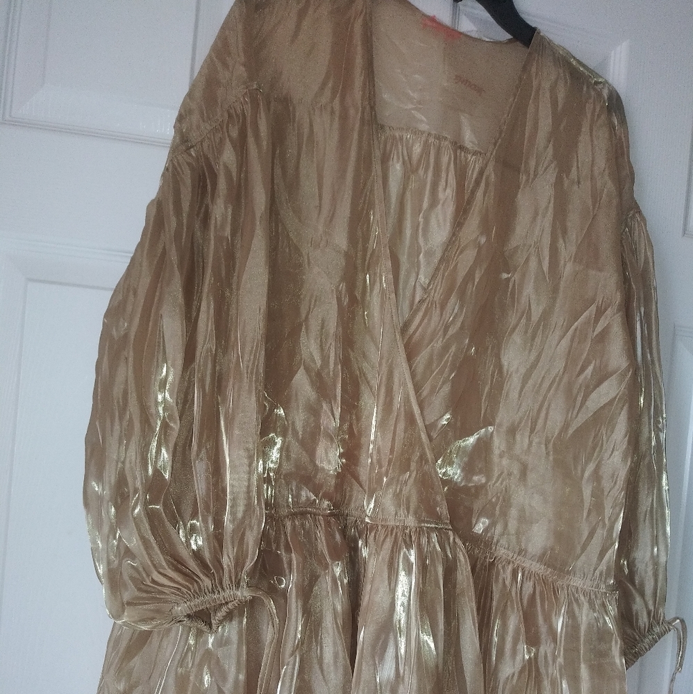 Gold Top - Picture 3 of 4